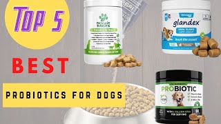 Probiotics For Dogs  The Best Probiotics For Dogs 2021 [upl. by Atinnor]