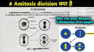 Amitosis Cell division कैसे होता है  BSc 3Rd year Botany 6th Semester first paper in Hindi [upl. by Egroj550]