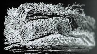 The Names of the Hare [upl. by Gallagher]