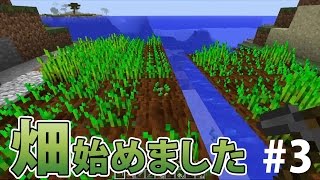 【マインクラフト】素人マイクラ実況 PART3 ほのぼの畑作り編 [upl. by Auqinot]