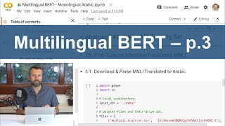 Multilingual BERT  Part 3  Multi vs Monolingual on XNLI [upl. by Attenrev]