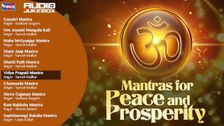 10 Mantras For Peace of Mind And Prosperity  Shiv Mantra  Shanti Mantra Chamunda Mantra [upl. by Hodge]