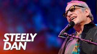 Steely Dan live at Shoreline Amphitheater Mountain View CA 1993 480p 30fps H264 128kbit AAC [upl. by Avad]