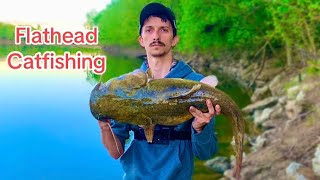 River Fishing for Flathead Catfish Big Fish Caught [upl. by Eirene]