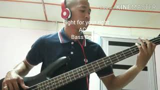 Fight for your right ACAB Bass Cover by Mr Bunkjoe gaiss [upl. by Llerahc492]