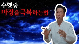 백자진언 수행중 마장이 나타났을때 처리하는 방법  고정환박사제 876강 [upl. by Stephania]