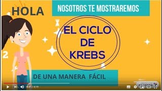 EL CICLO DE KREBS jm [upl. by Ahsyen861]