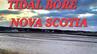 LL77 HIGHEST TIDES IN THE WORLD quotTHE TIDAL BOREquot NOVA SCOTIA HIGH TIDES 2 [upl. by Boyer]