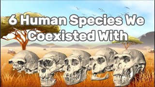 6 Ancient Human Species We Once CoExisted With [upl. by Daggett661]