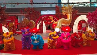 7 Lion Dance with Acrobatic Lion Dance [upl. by Areid402]