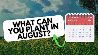 What To Plant in Your Garden in August [upl. by Elokkin170]