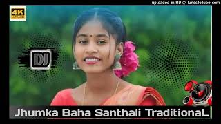 JHUMKA BAHA DJ REMIX Jhumka Baha New Santhali dj traditional remix song 2024 25 dj SYAMLAL DJ Anit [upl. by Rehprotsirhc865]