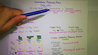 VentilationPerfusion Ratio Chapter 40  part 5 Guyton and hall text book of physiology [upl. by Hcab]