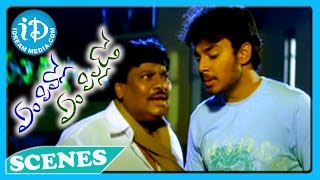 Em Pillo Em Pillado Movie  Siva Prasad Tanish Nice Comedy Scene [upl. by Driscoll]