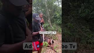 Passion Adaeze Onuigbo chizoba NWOYE nollywoodmovies trending movies 2024 viralshort [upl. by Ahtanaram]