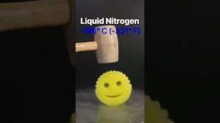 Scrub Daddy vs Liquid Nitrogen [upl. by Sundberg771]