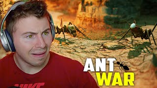 Ant Colony Simulation Is Awesome Ant Colony vs Ant Colony [upl. by Onirefez]