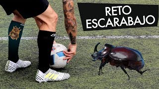 FÚTBOL VS ESCARABAJOS  Retos challenges de tiros libres con portero [upl. by Haek978]