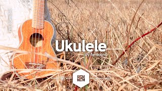 Ukulele  Bensound  Royalty Free Music  No Copyright Music [upl. by Romito170]