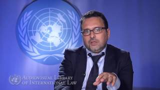 Vicent Chetail on the Principle of Nonrefoulement in International Law [upl. by Enelrak]