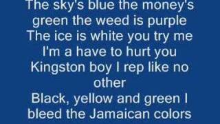 sean kingston colours lyrics [upl. by Flann412]