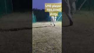 FEILDING Drills🏏🏏🏏🏏🏏🏏🎯🎯🎯🎯🎯trendingshorts cricket [upl. by Pandora701]