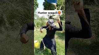 Hunter for seagull 🥵fouryouvillagelifefrming kisanhumor humanity entertainment growanimals [upl. by Nutter]