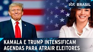 Veja as estratégias de Kamala Harris e Donald Trump a um dia da votação  SBT Brasil 041124 [upl. by Olcott]