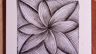 Zentangle Pattern Art Drawing Pattern [upl. by Sivad]