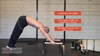 Full Hindu Pushup on Parallettes  Intermediate [upl. by Ahs]