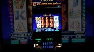 Faune frimé the wildlife slot loto quebec AMAZING WIN [upl. by Rozele]