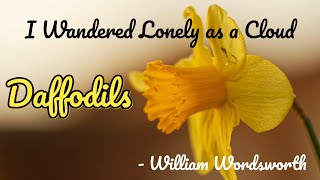 I Wandered Lonely as a Cloud by William Wordsworth  Daffodils [upl. by Nrubloc137]