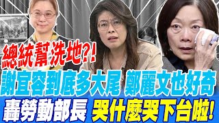 總統幫忙洗地謝宜容到底多大尾連鄭麗文都好奇 砲轟勞動部長 解決問題用哭的 下台啦 [upl. by Wurster]