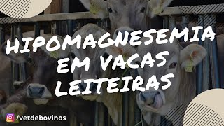 Hipomagnesemia em vacas leiteiras 018 [upl. by Adnarym879]