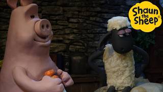 Shaun the Sheep 🐑 Pig Plans  Cartoons for Kids 🐑 Full Episodes Compilation 1 hour [upl. by Symon]