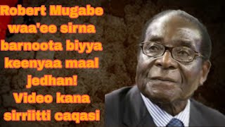 Jechoota ajaaibaa President Robert Mugabe robert mugabe story viralvideo [upl. by Chasse39]