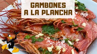 Gambones a la Plancha con Ajo y Perejil 🦐 ¡RECETA CON GAMBONES [upl. by Naor]