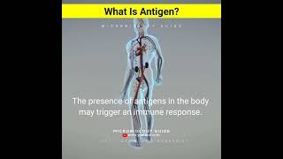 What Is Antigen In Hindi shorts [upl. by Chessy617]