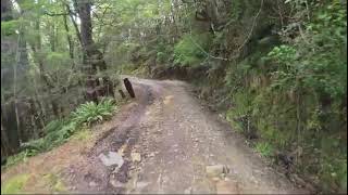 top of porika track east side south island nz [upl. by Meehyrb125]