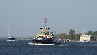 Tug Friesland en tug Svitzer Muiden op het Noordzeekanaal [upl. by Novar]