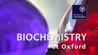 Biochemistry Molecular and Cellular at Oxford University [upl. by Maidy]