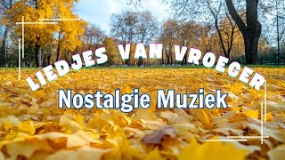 Oude Nederlandse Liedjes 🍁 Hollandse Liedjes 🍁 Meest Beluisterde Muziek Uit Nederland [upl. by Chatterjee709]