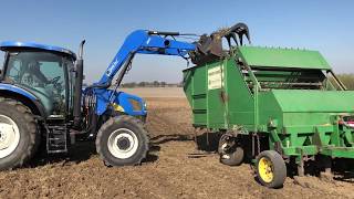 Planting Sprigs [upl. by Schacker]