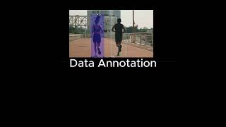 Data Labelling Video amp Image [upl. by Mac]