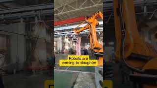 Building materials palletizing brick robot machine robotics factory [upl. by Morven]