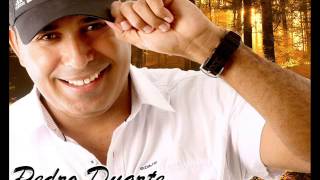 Pedro Duarte amp Linguagem Musical  O Grande Amor da Minha VIda [upl. by Lipscomb]