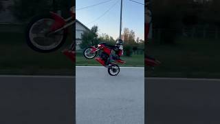 KAWASAKI Z1000 WHEELIE [upl. by Vladimar]