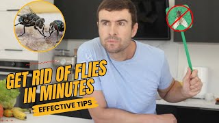 How To Get Rid Of House Flies NaturallyEffective Methods [upl. by Janifer]