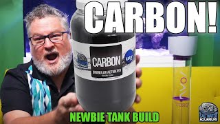 Using ACTIVATED CARBON in Your Saltwater Aquarium  Newbie Tank Build [upl. by Barna]