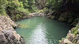 Cossey gorge Track from Cosseys Dam to Hunua Falls [upl. by Alicia]